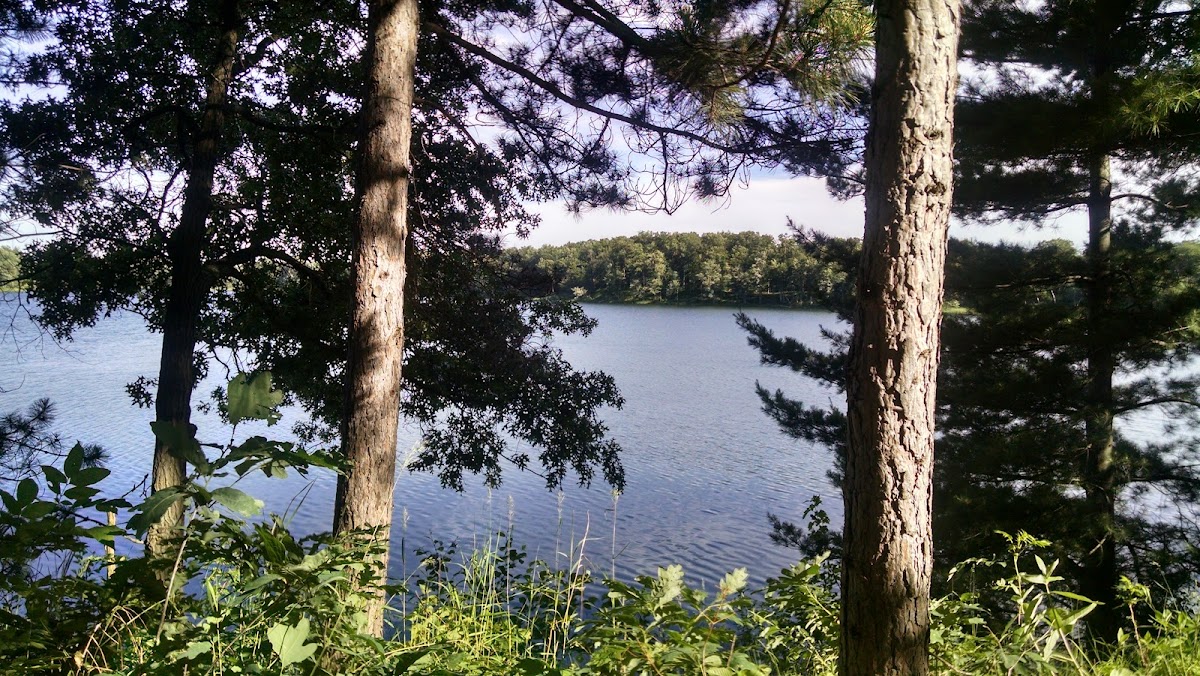 Hunky Dory Farms-Resort photo 3
