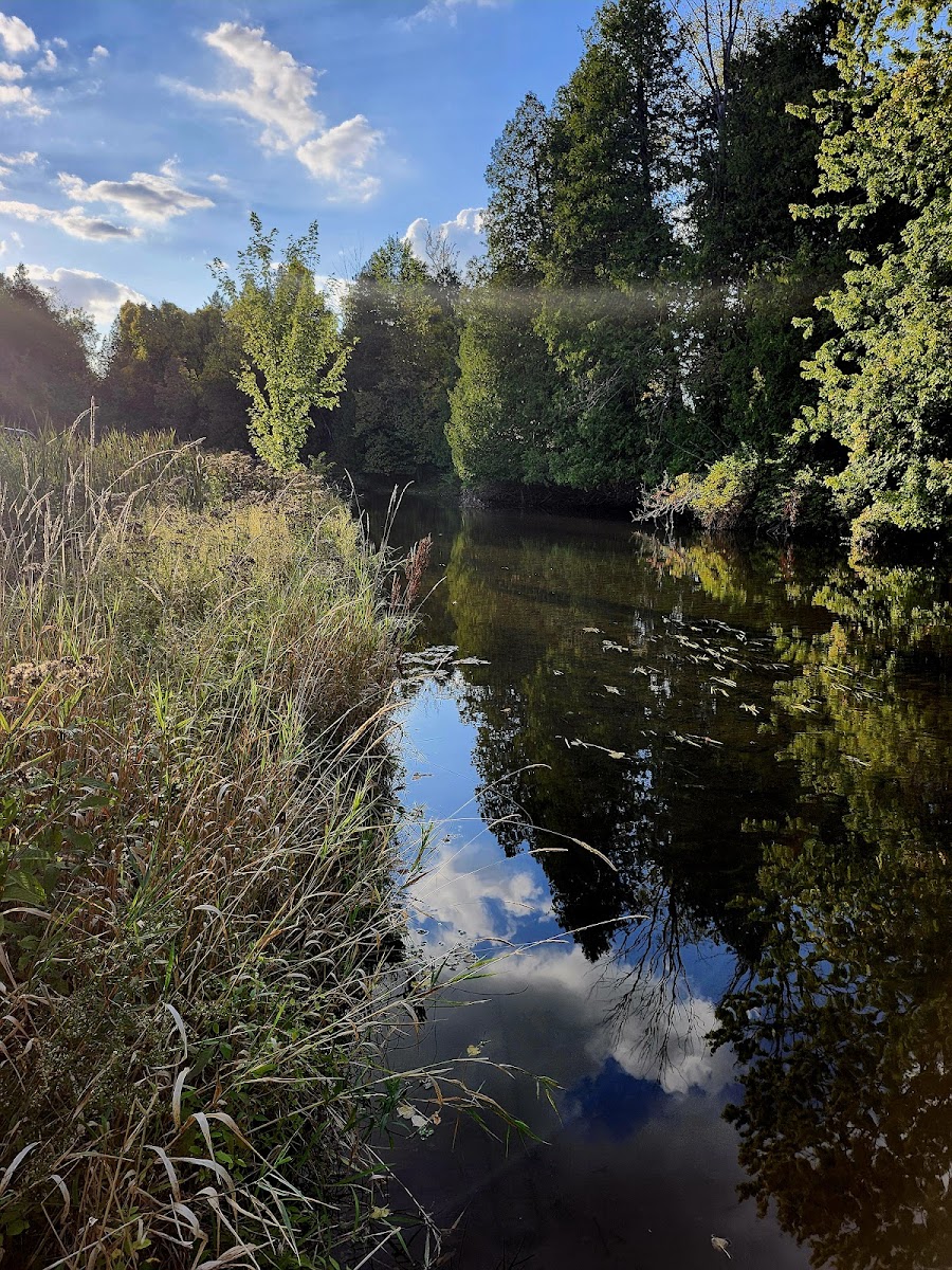 Pettit Park