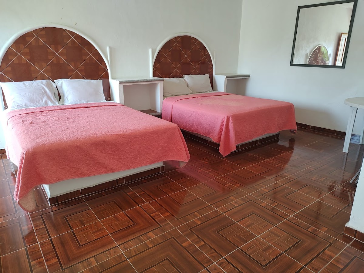HOTEL VIOLET photo 2