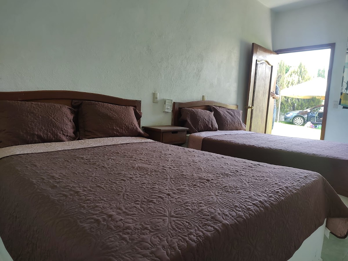 HOTEL VIOLET photo 3