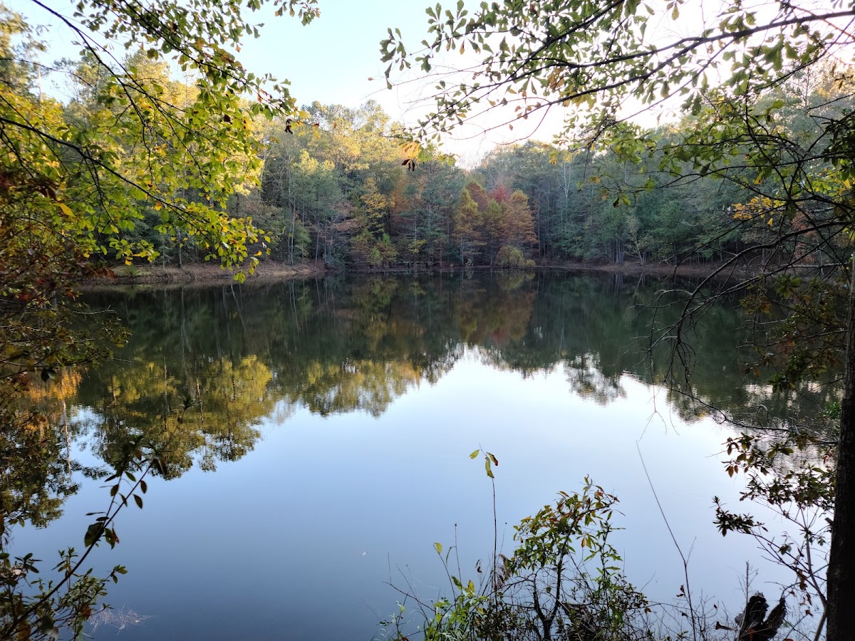 Troy Arboretum