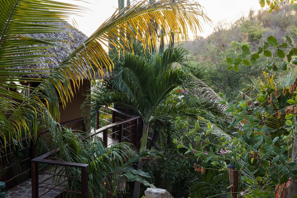 Casa Sol & Maquil Villas photo 2