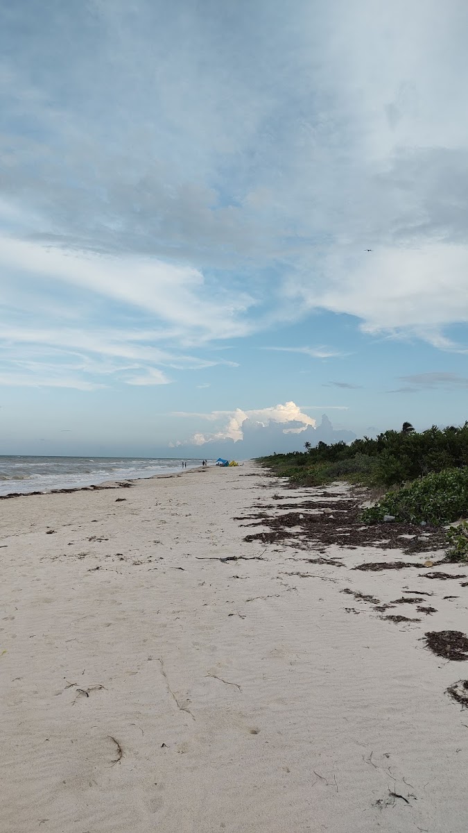 Baläo Beach photo 2