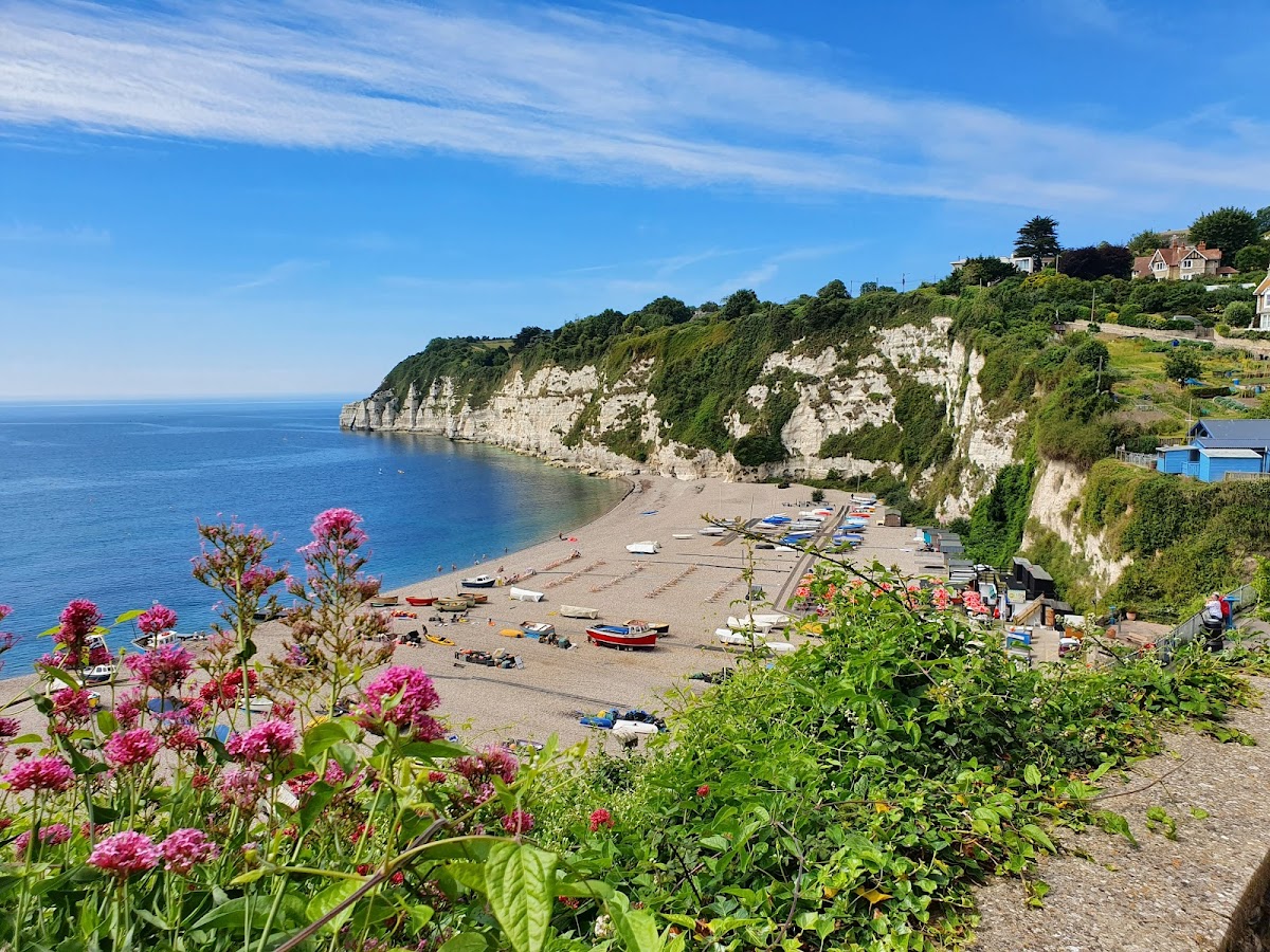 Beer Beach