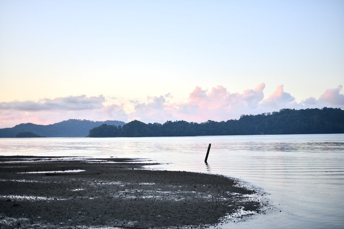 Golfito Bay