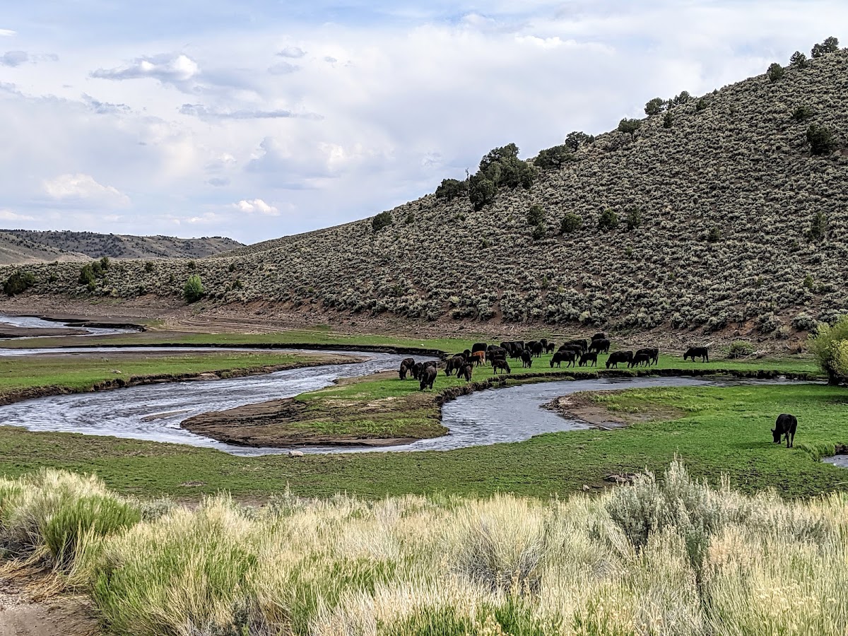 Mill Meadow Reservoir