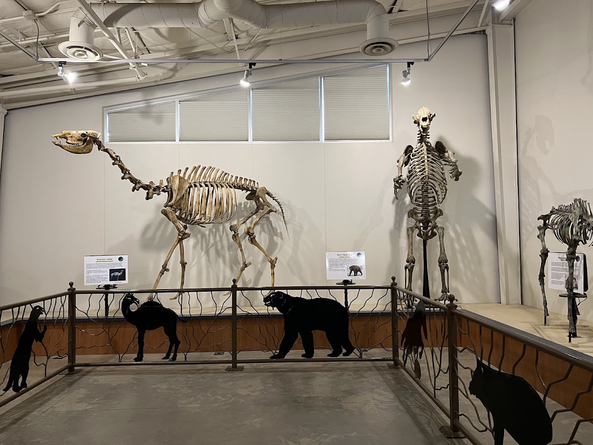 Fossil Discovery Center of Madera County