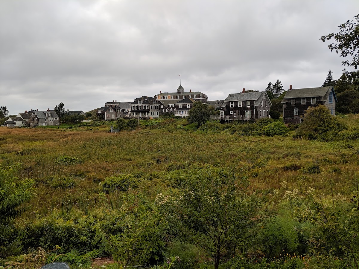Island Inn photo 2