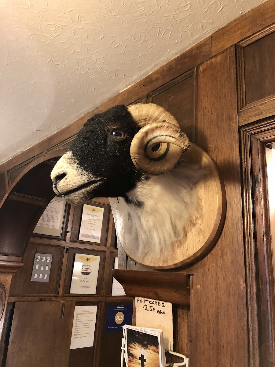 Fat Lamb Country Inn photo 3