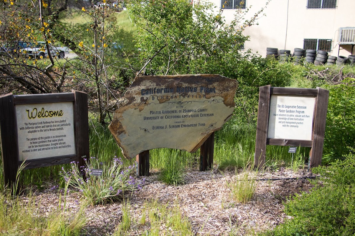 Mariposa Creek