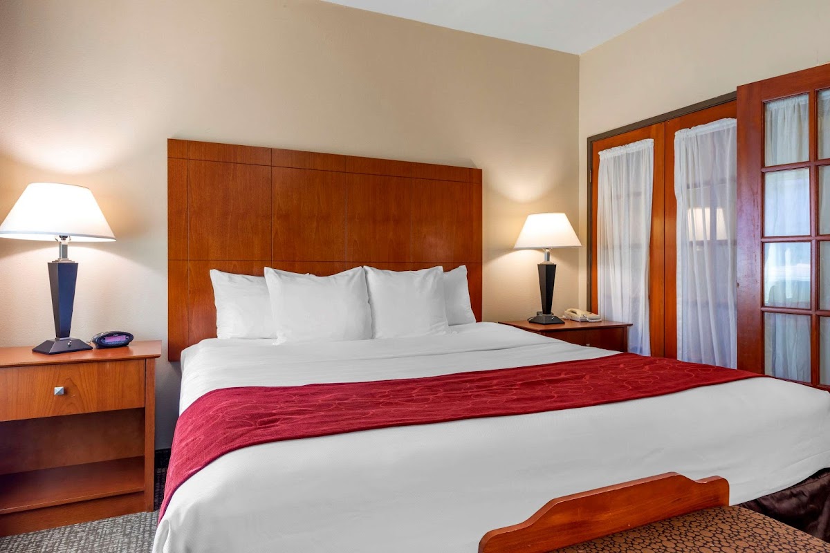 Comfort Suites North Dallas photo 3