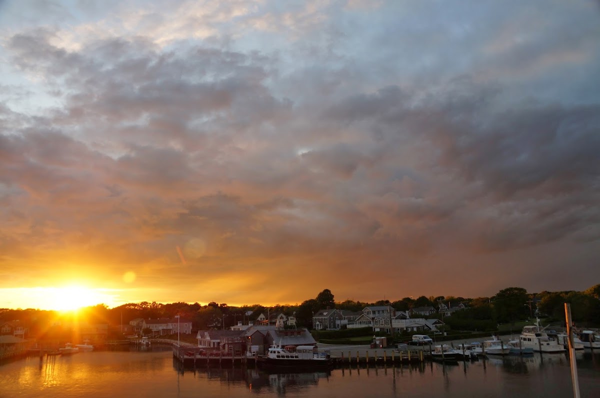 Falmouth Tides photo 3