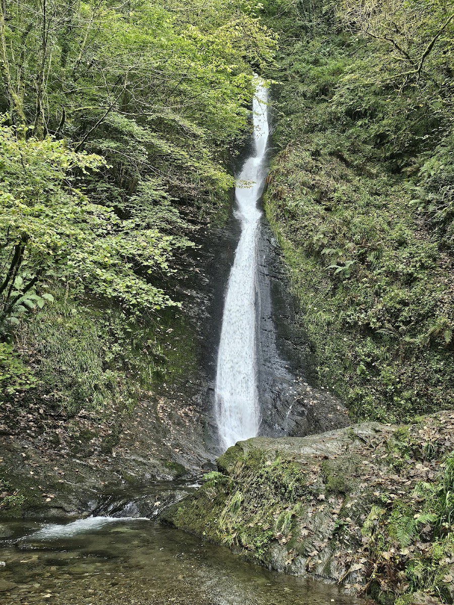 National Trust - Lydford Gorge