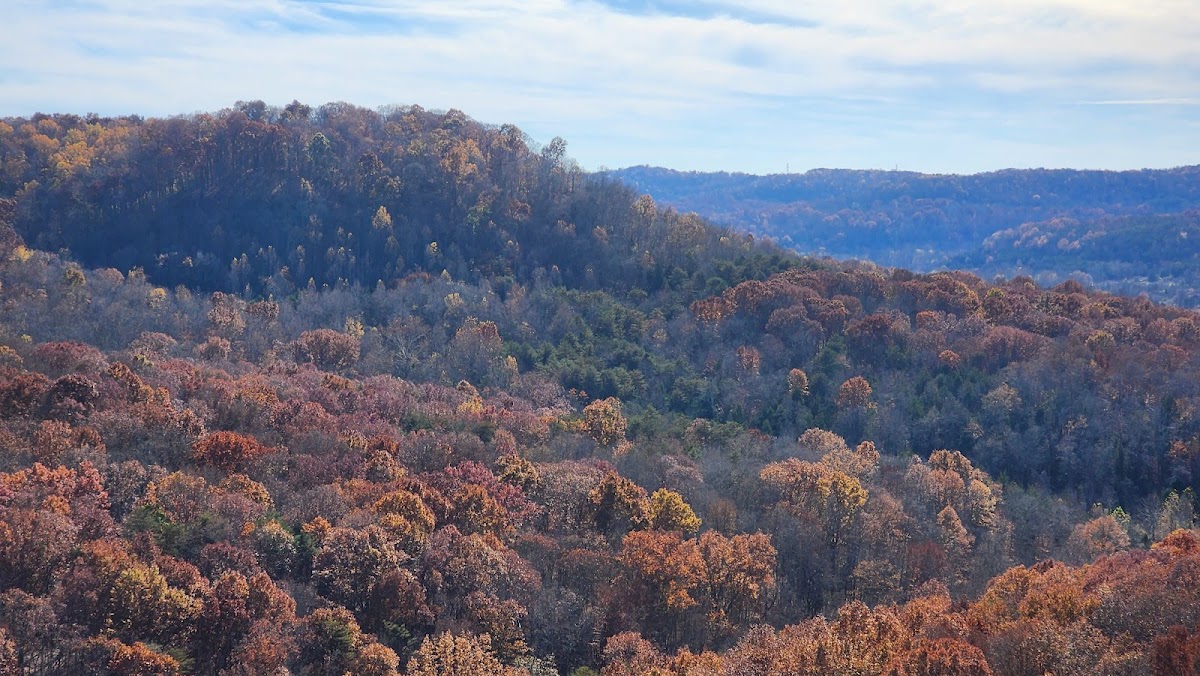 Buzzardroost Rock