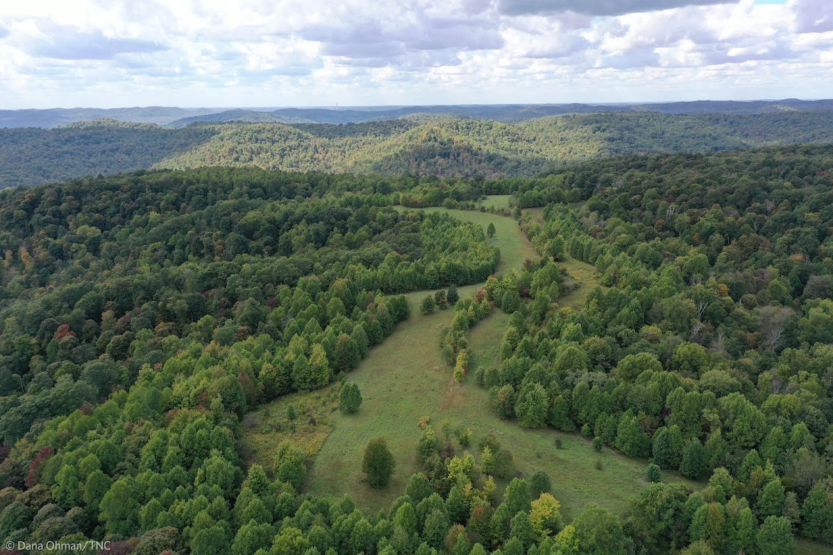 Richard and Lucile Durrell Edge of Appalachia Preserve Visitor Information Pavilion