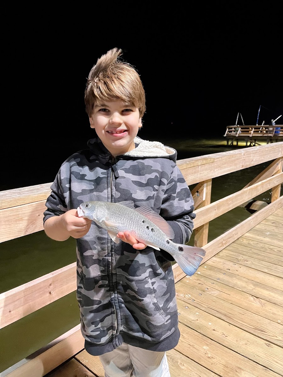 Baffin Bay Lodge photo 2