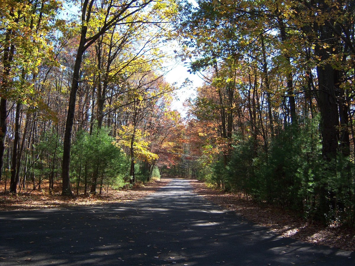 Beltzville State Park