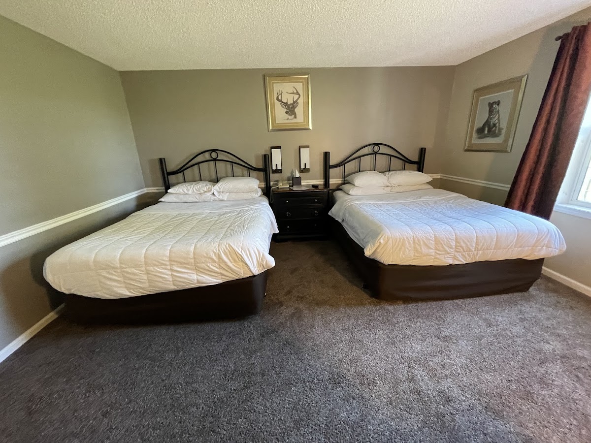 Four Seasons Country Inn photo 2