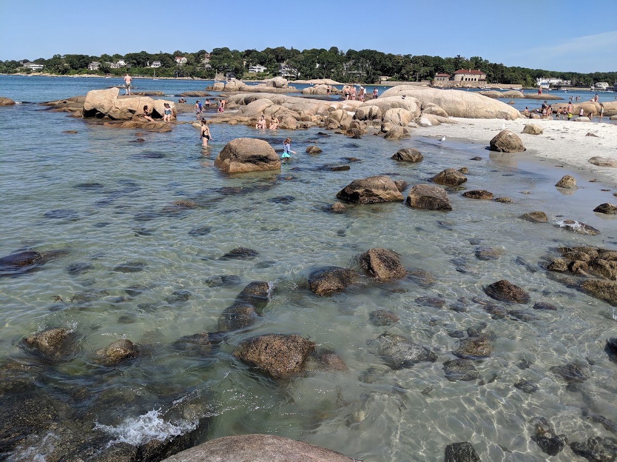 Wingaersheek Beach