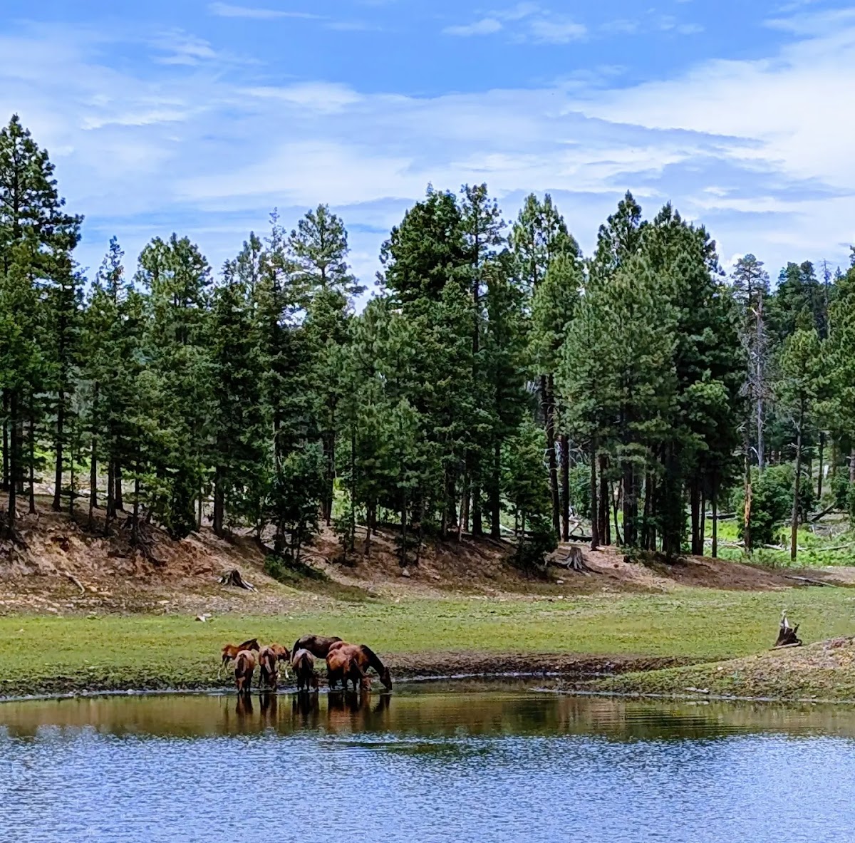 Black Canyon Lake