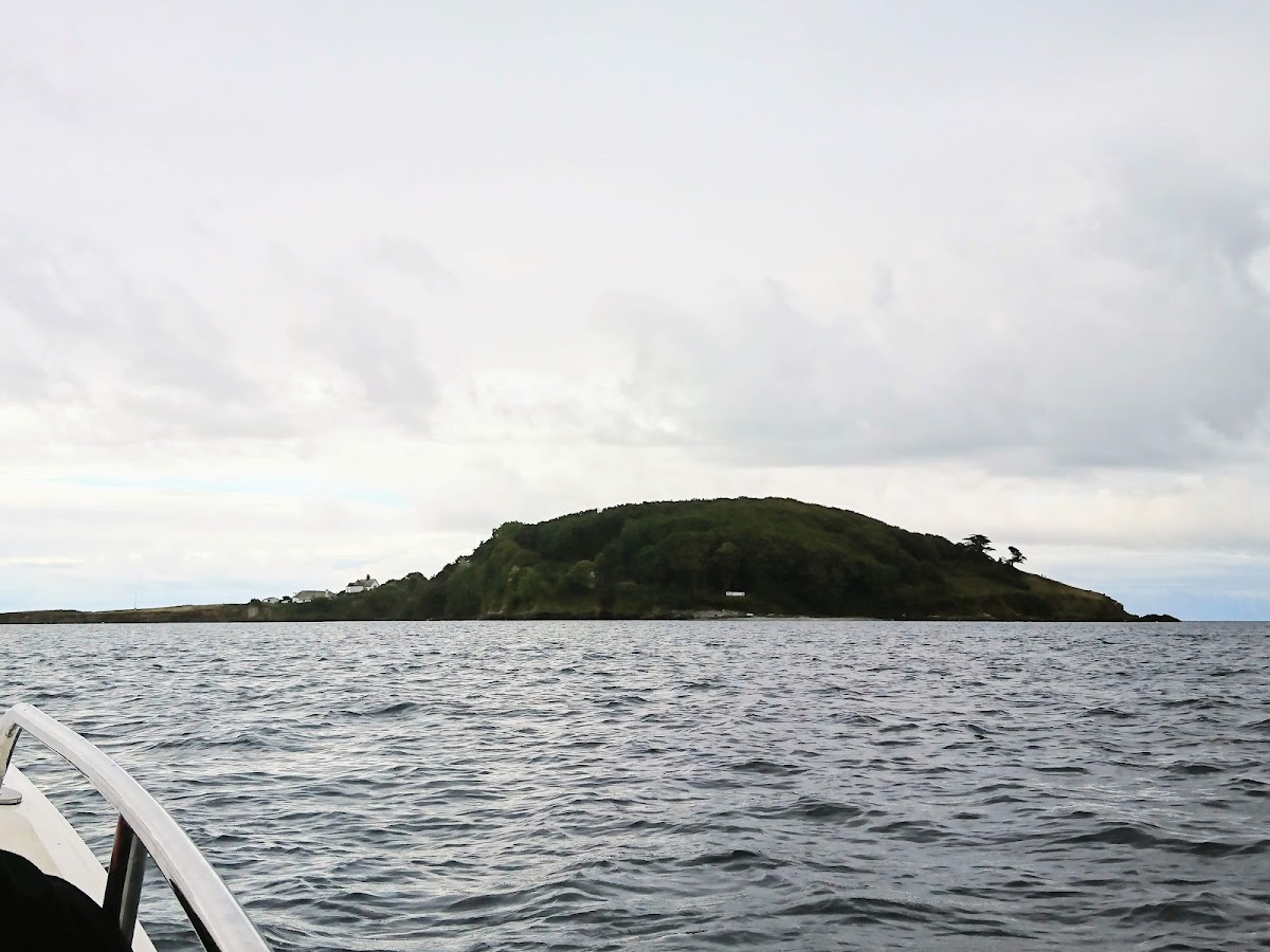 Looe Island