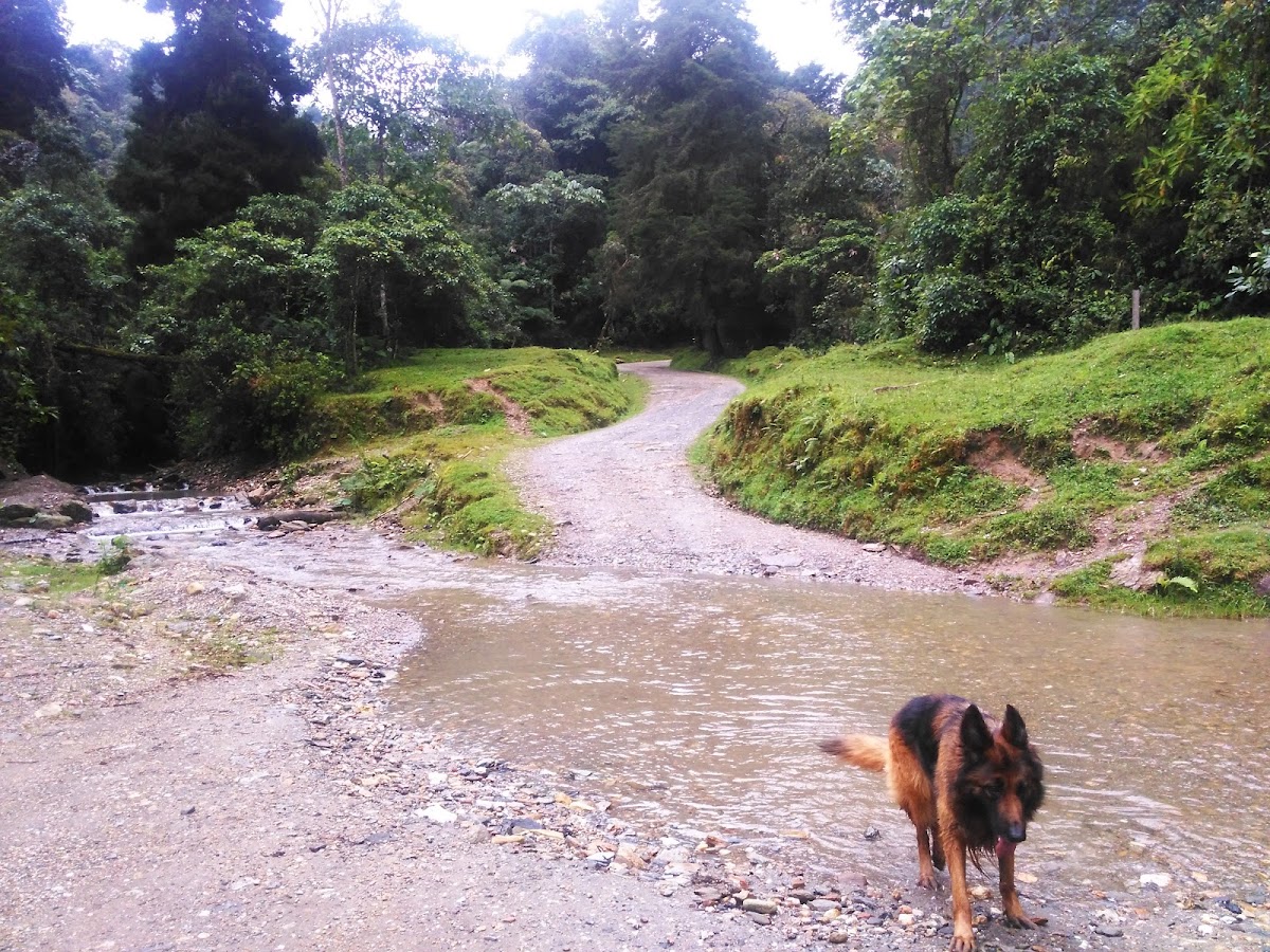 Reserva Ecológica Río Blanco