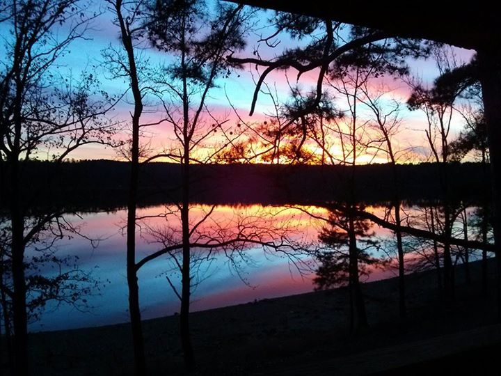 Self Creek Lodge and Marina photo 3