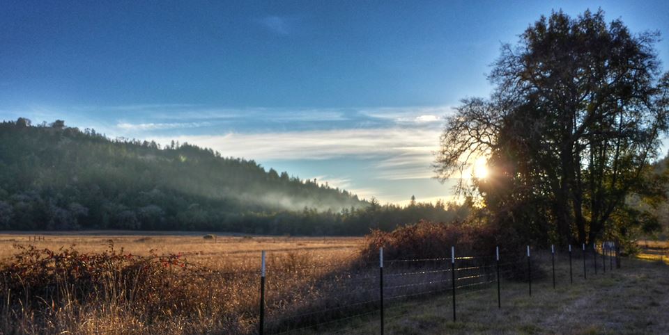 Southern Humboldt Community Park
