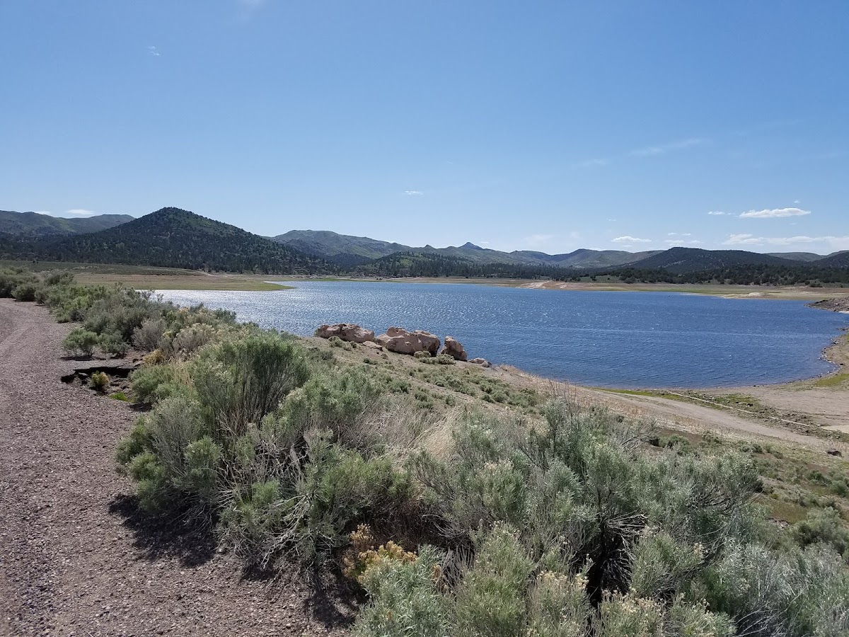 Enterprise Reservoir