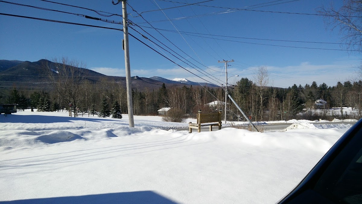 Johnson's Motel & Cottages photo 3