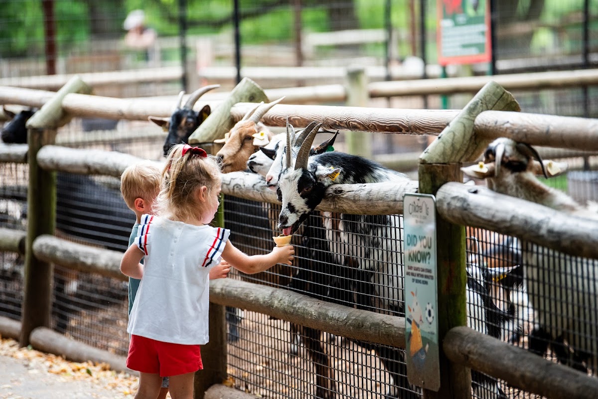 Grant's Farm
