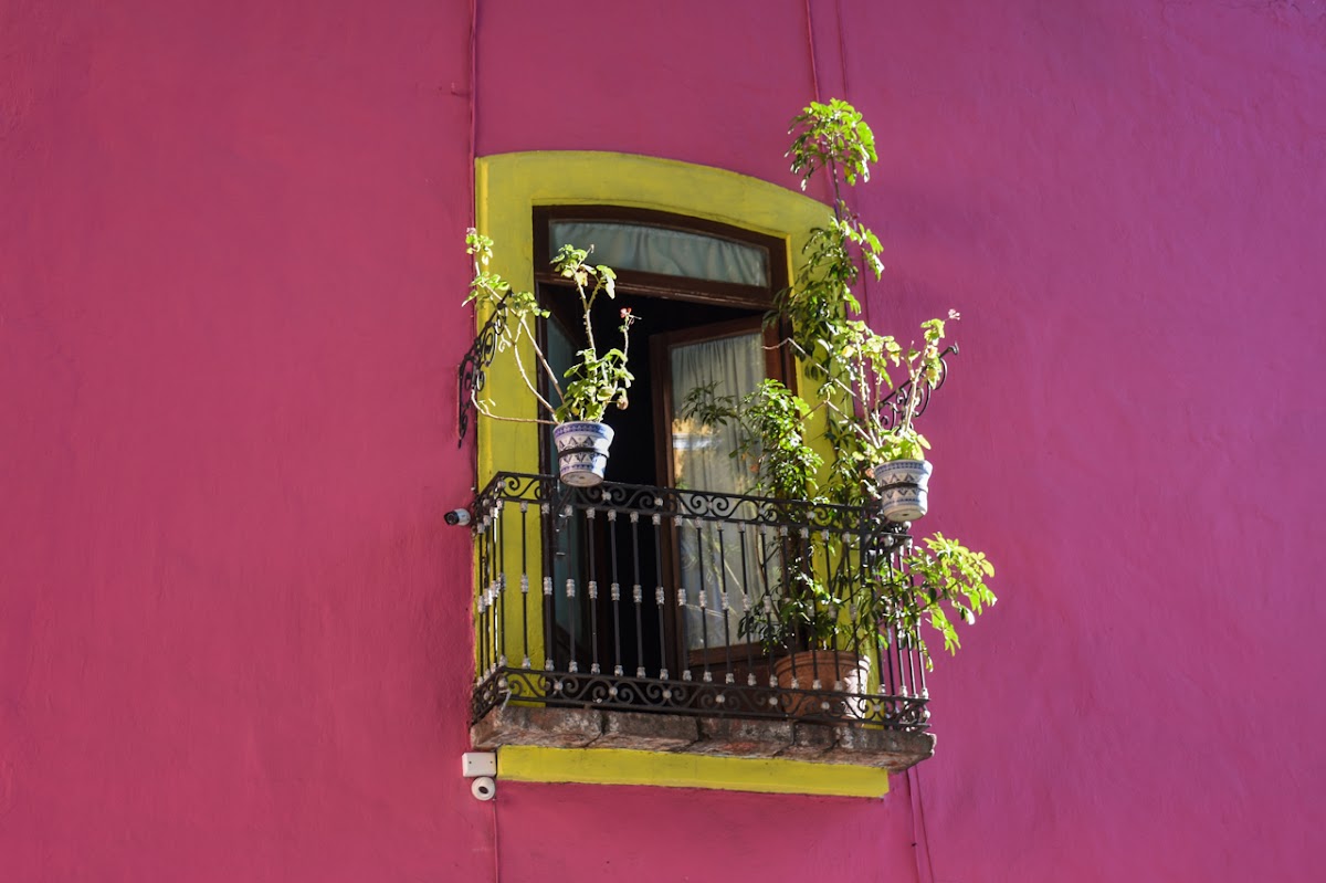 Hotel Casa Del Callejon photo 3