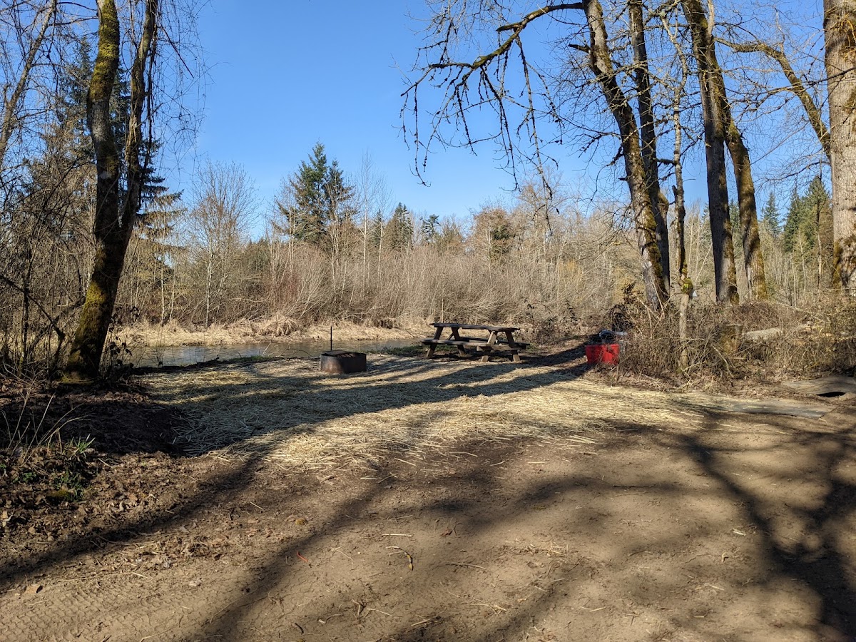 Molalla Ripple