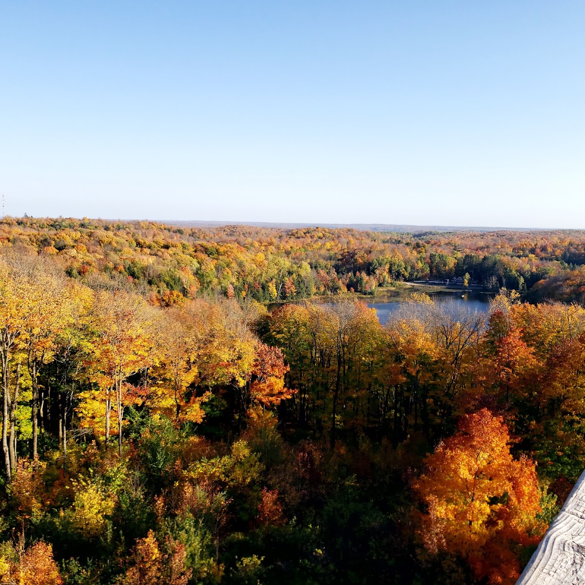 Timms Hill