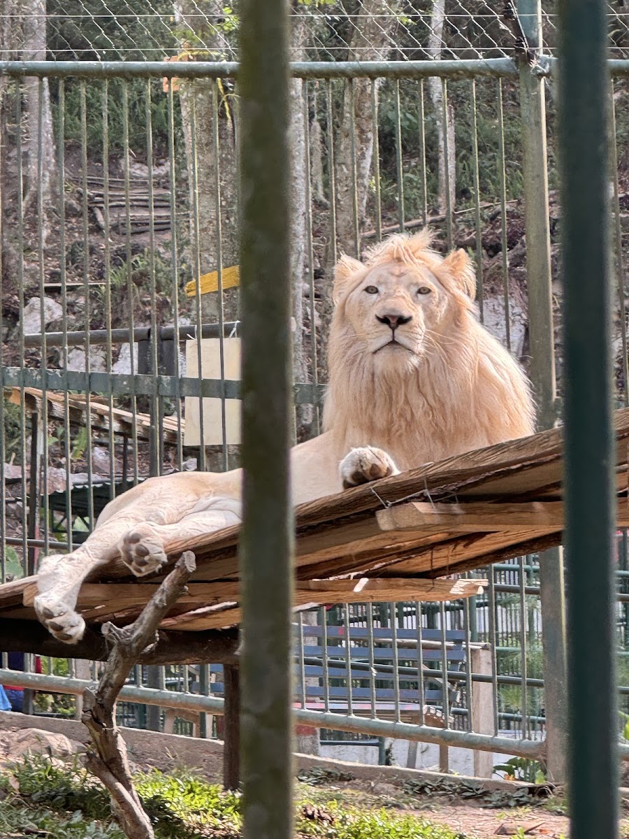 Parque Zoológico Chorros de Milla