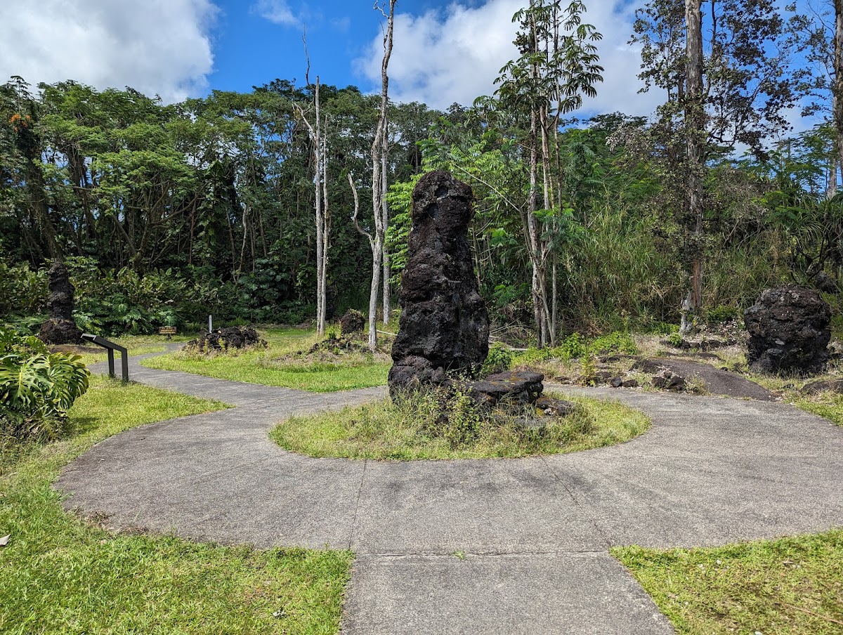 Lava Tree State Monument