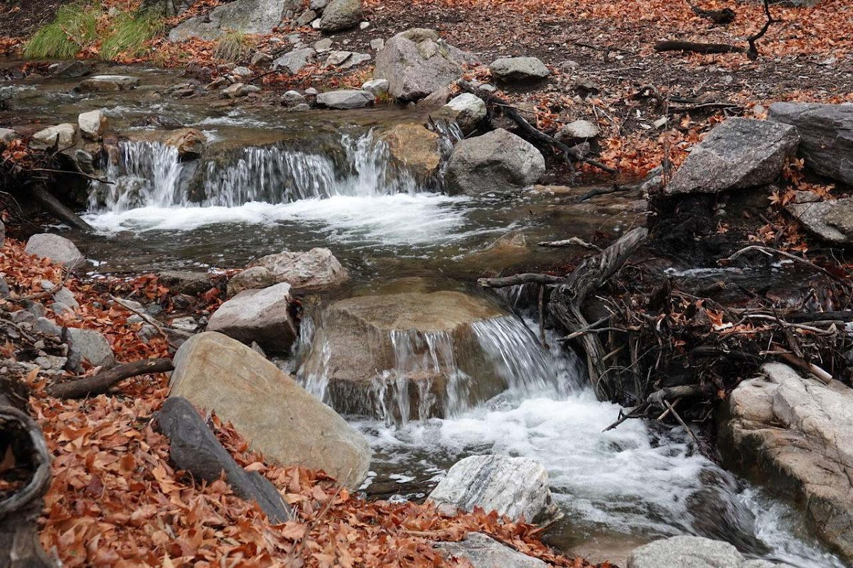 Ramsey Canyon Preserve