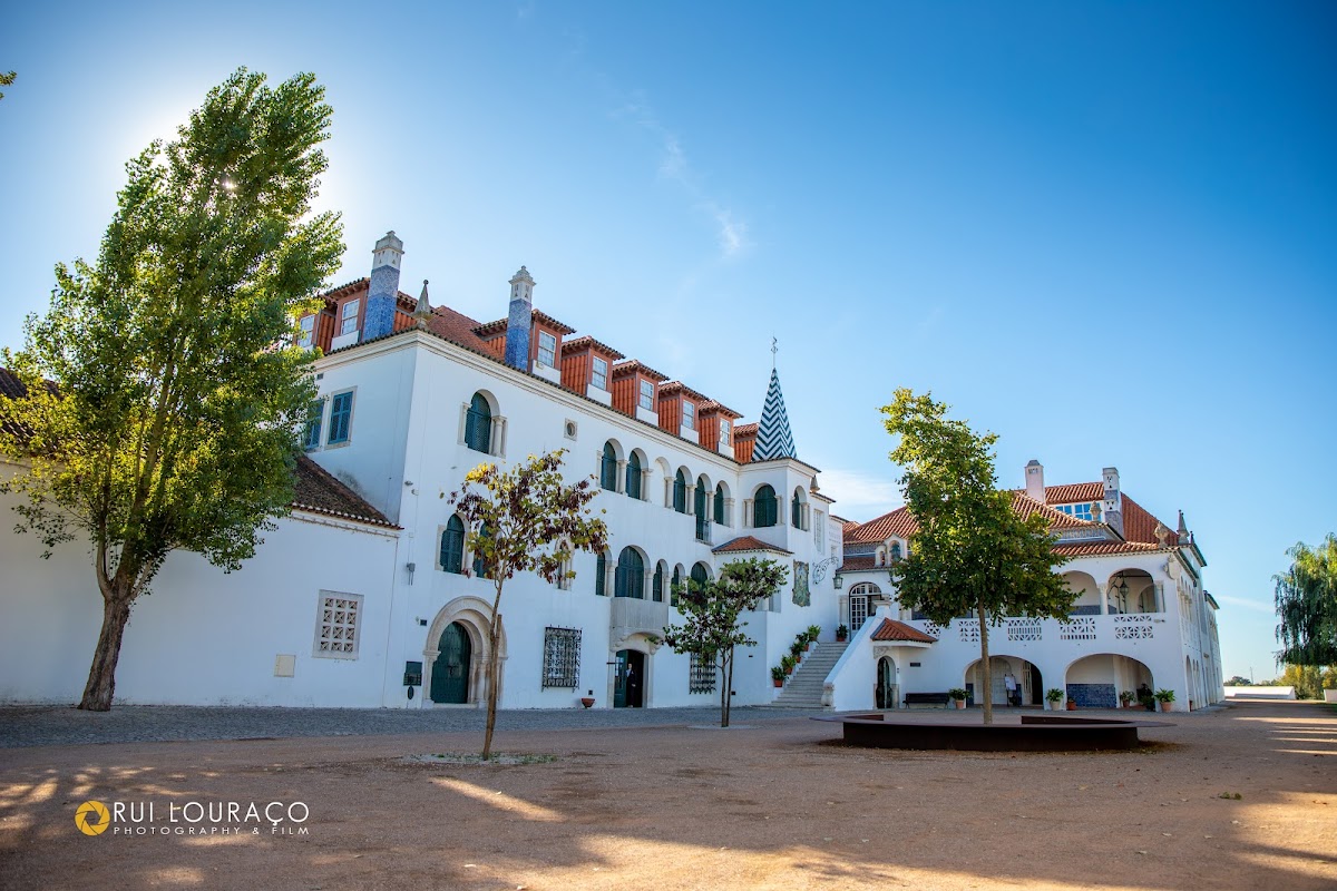 Casa dos Patudos - Museu de Alpiarça