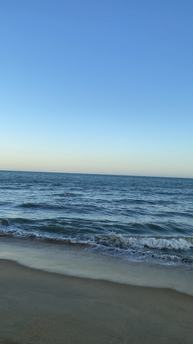 Praia de Taperapuã