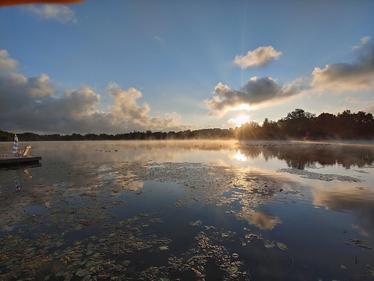 Cassadaga Lakes