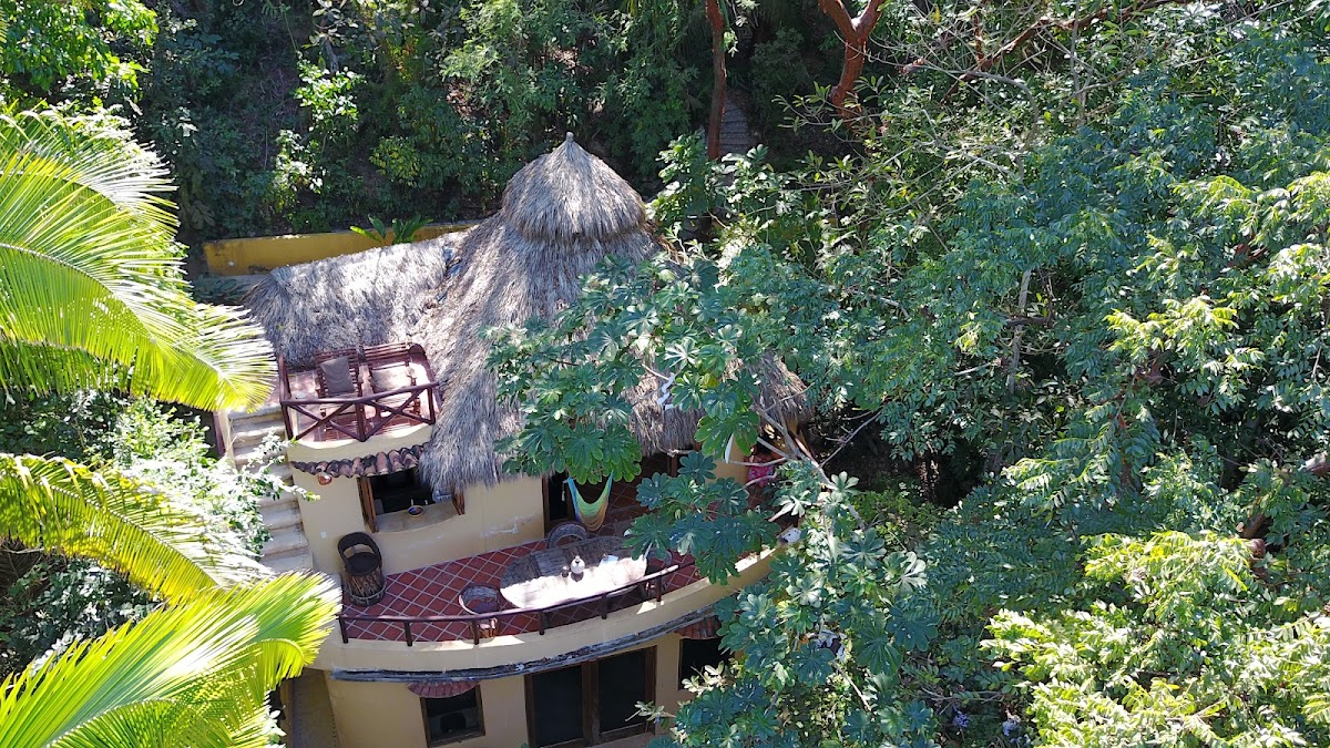 Tailwind Jungle Lodge