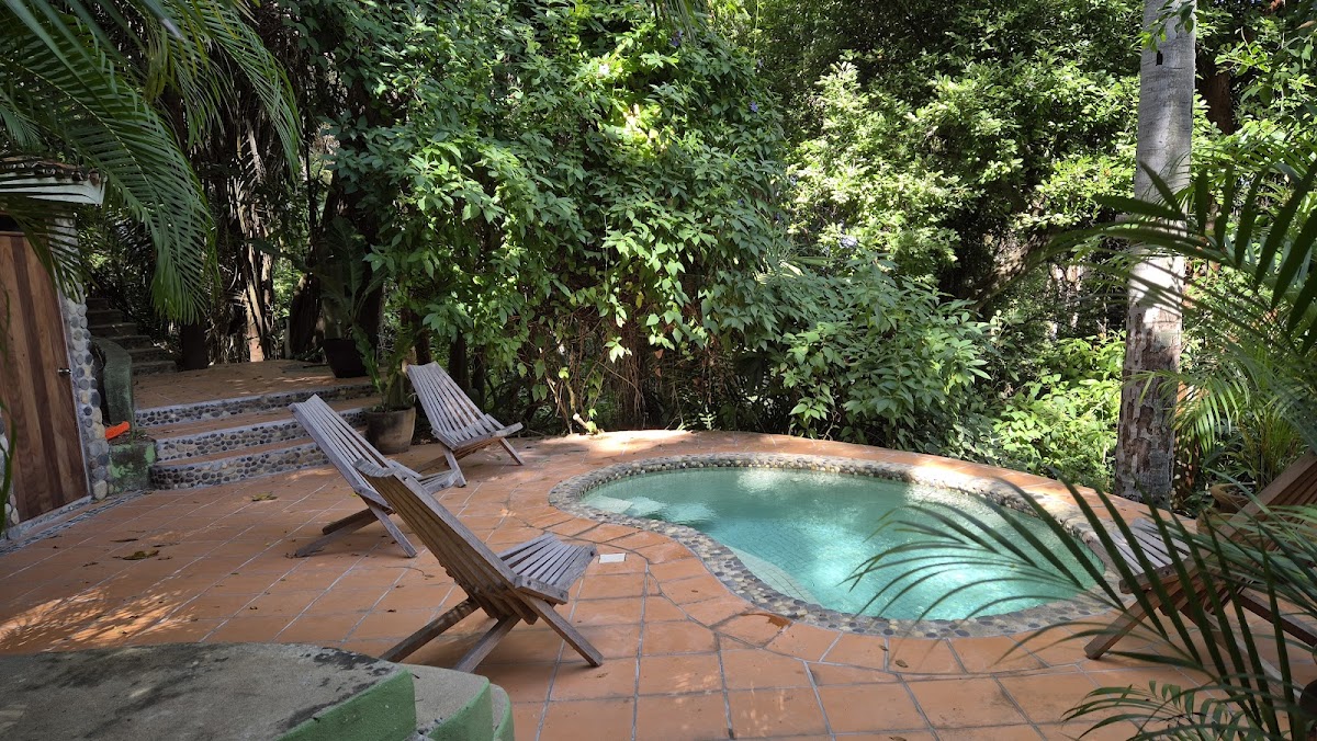 Tailwind Jungle Lodge photo 2