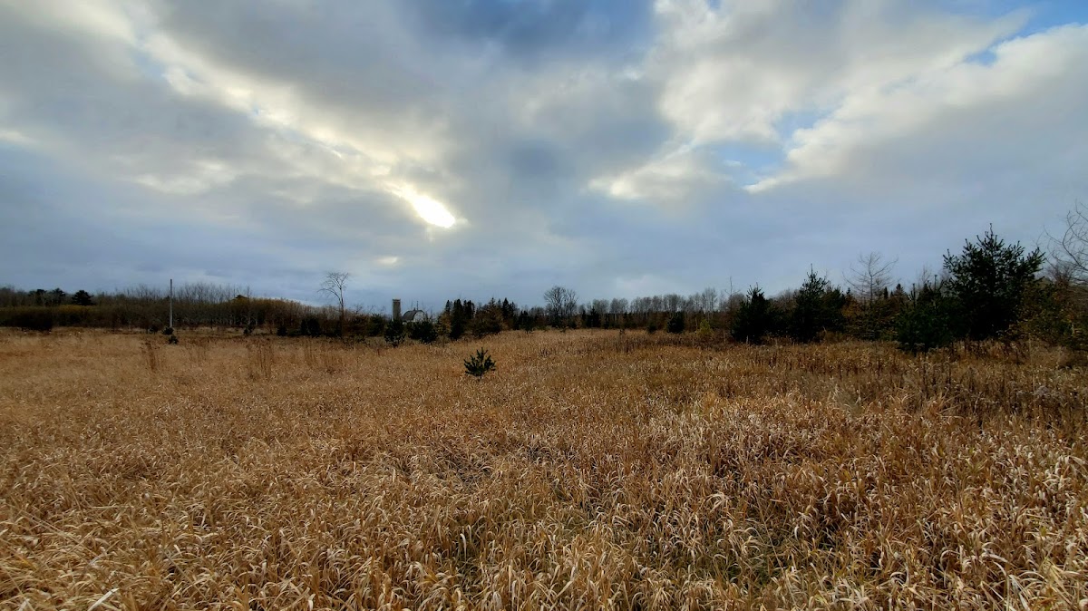 Whittlesey Creek National Wildlife Refuge