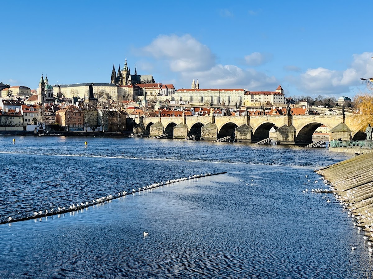 Charles Bridge