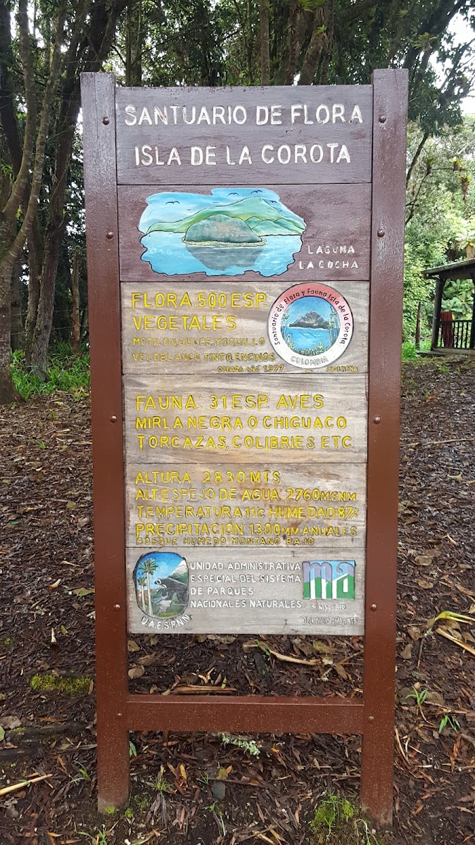 Santuario de Flora Isla de La Corota