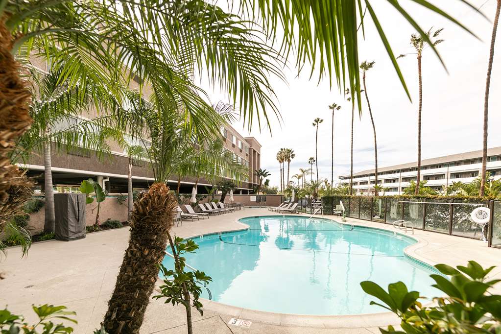 Best Western Inn & Suites San Diego – Zoo/SeaWorld Area photo 3