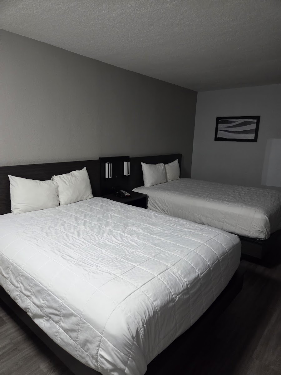 Baymont by Wyndham Rock Hill photo 2