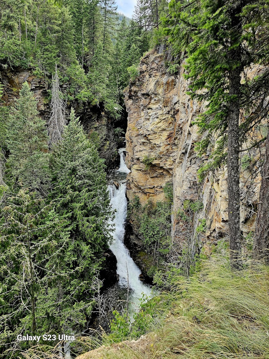 Myrtle Falls Trail