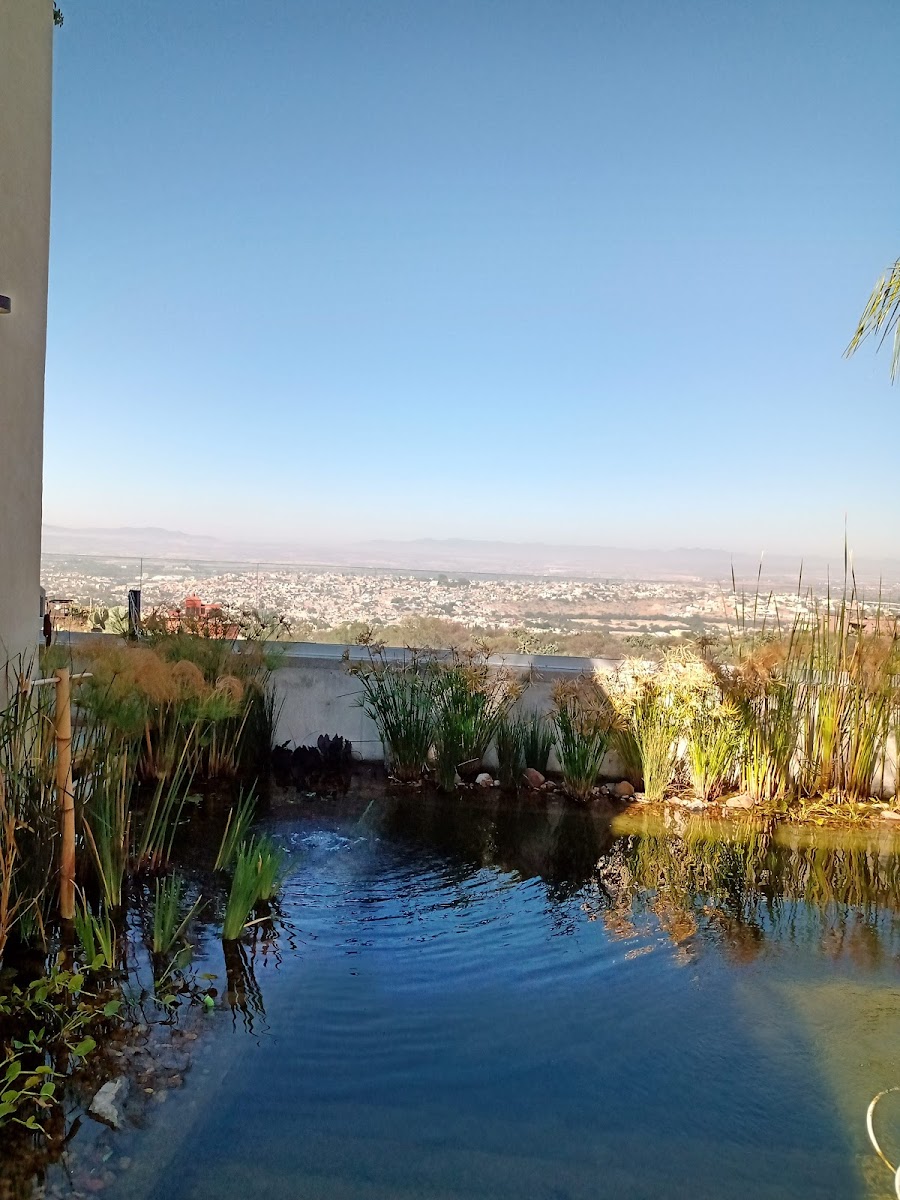 B&B Balconies of San Miguel de Allende photo 3