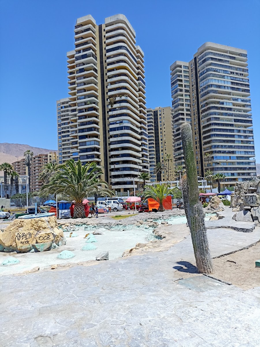 Cavancha Beach